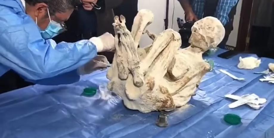 In Peru, new alien corpses have been discovered, and this time they're different (photos included).